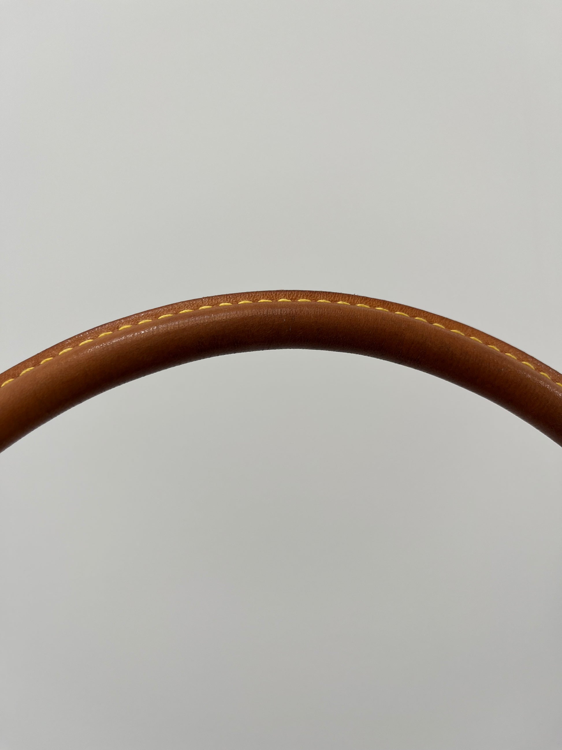 Louis Vuitton Looping MM Bag