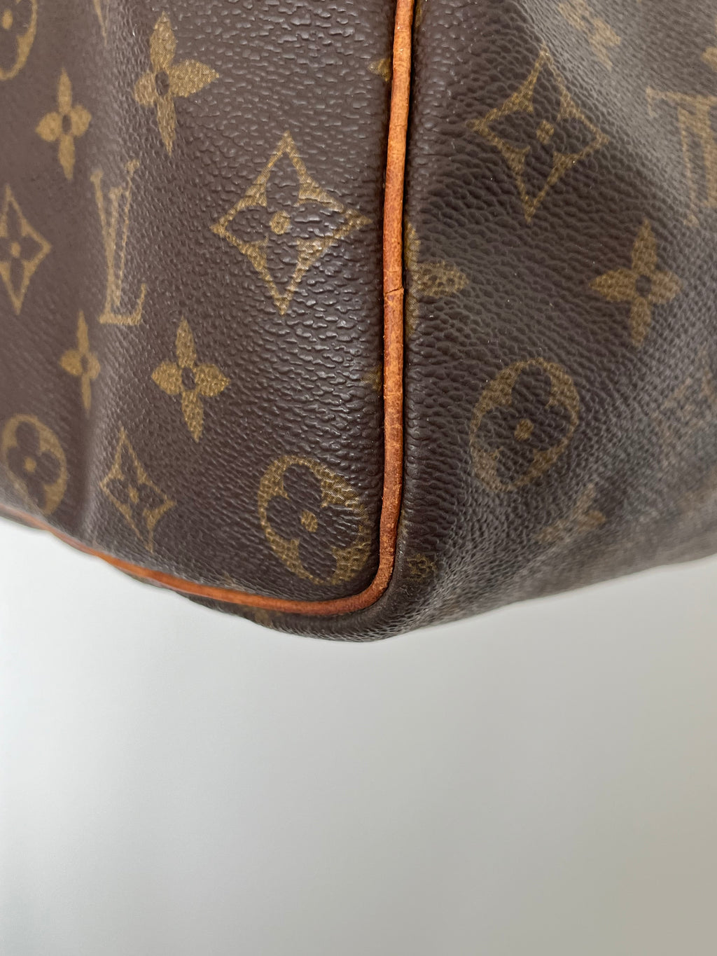 Louis Vuitton Speedy 35 Bag