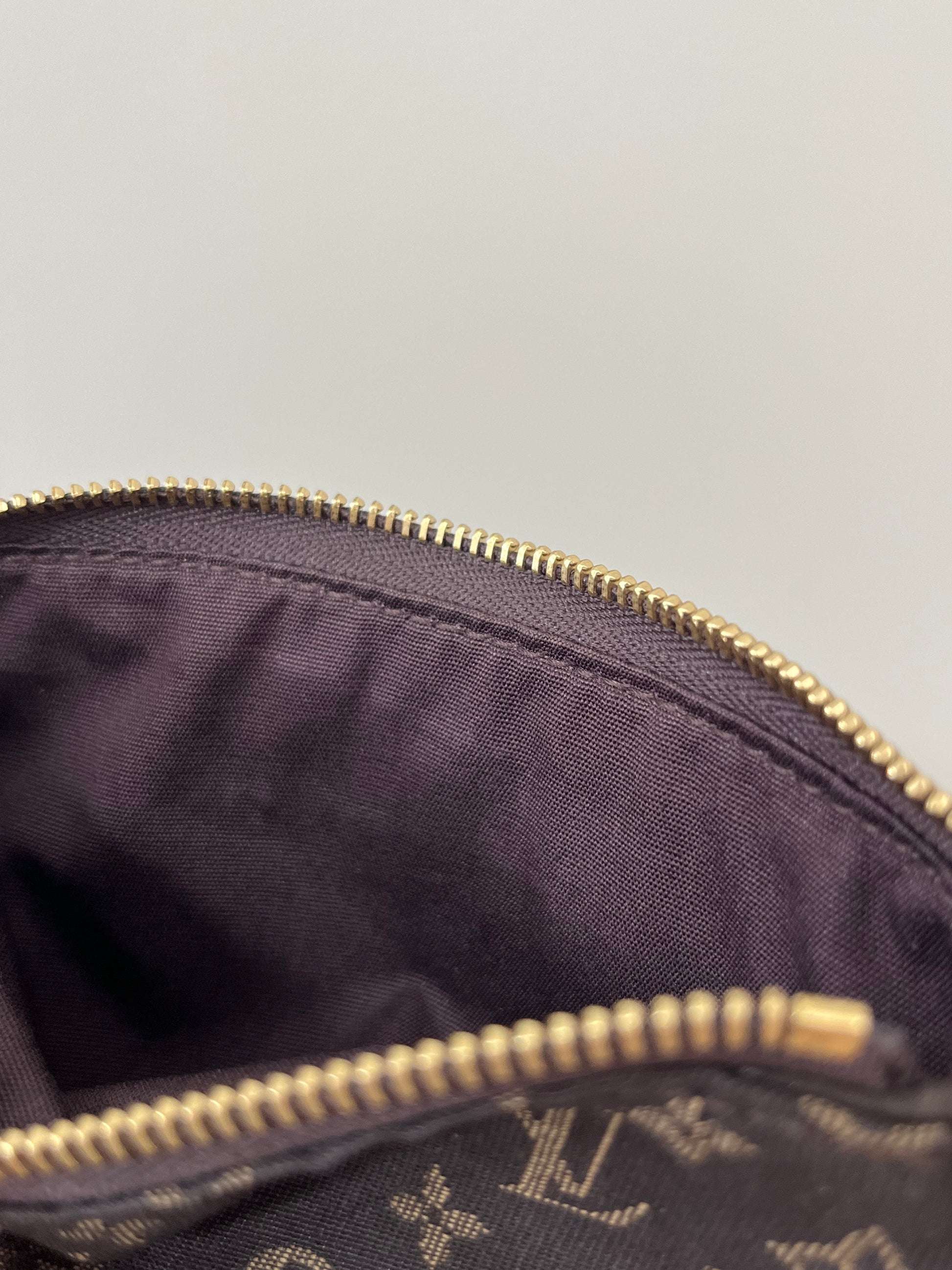 Louis Vuitton Mini Lin Pochette