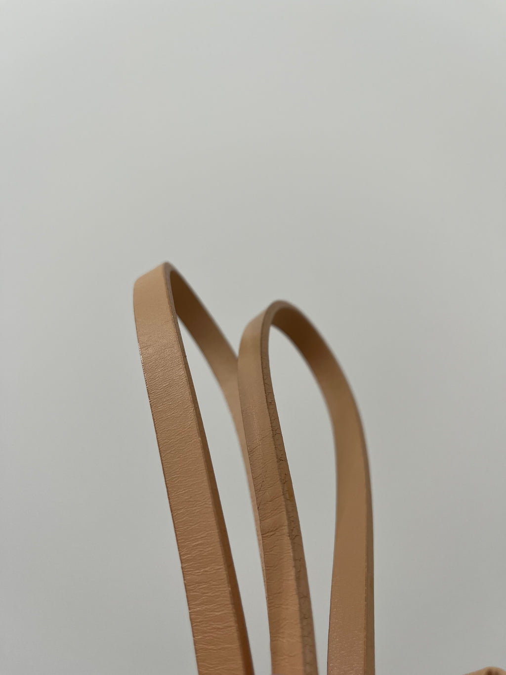 Fendi Zucca Tote Bag