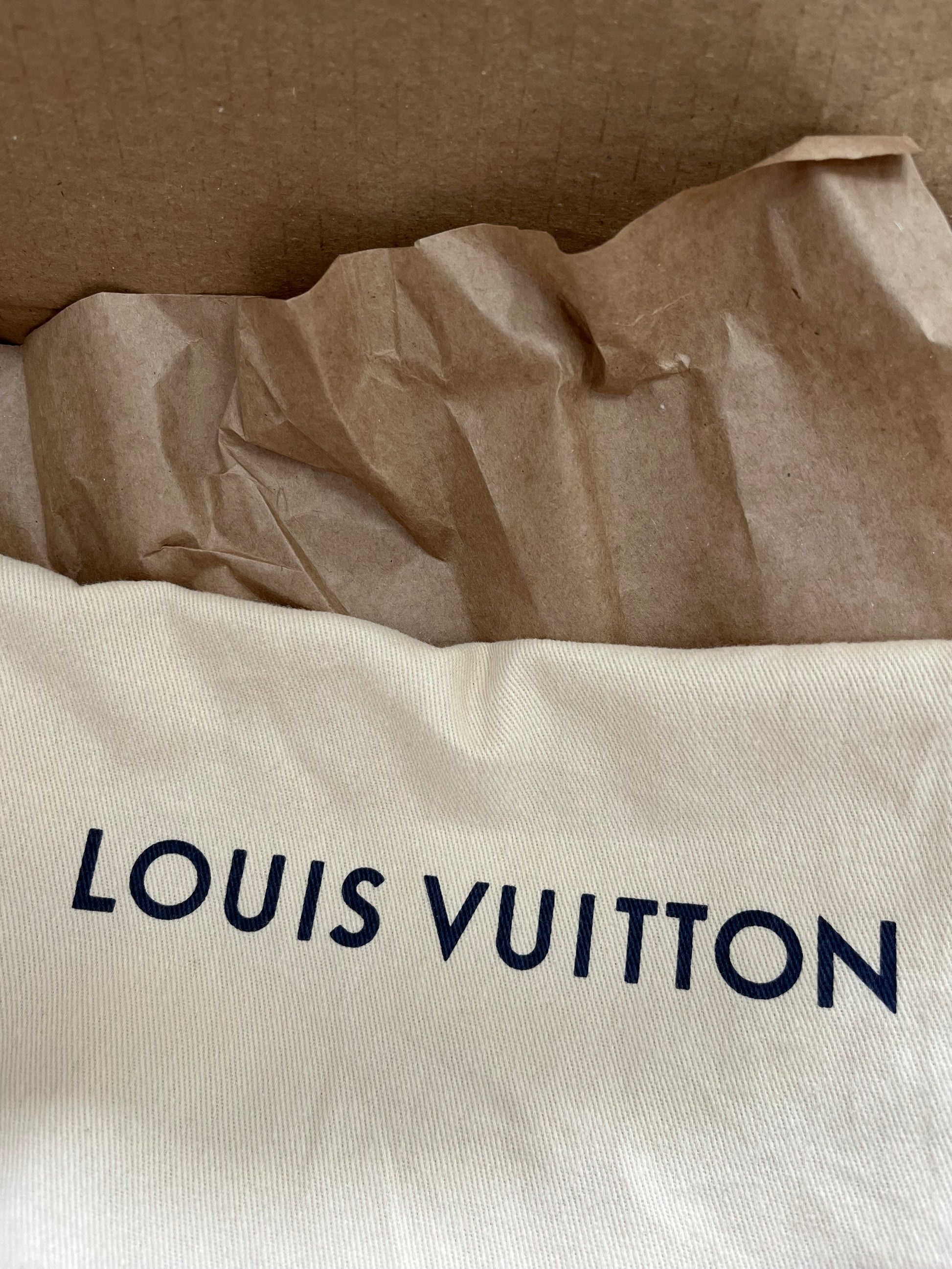 Louis Vuitton Mini Lin Pochette