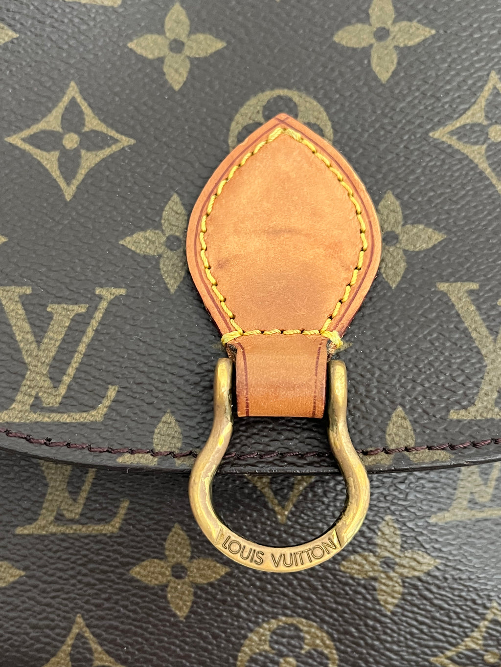 Louis Vuitton Saint Cloud Bag