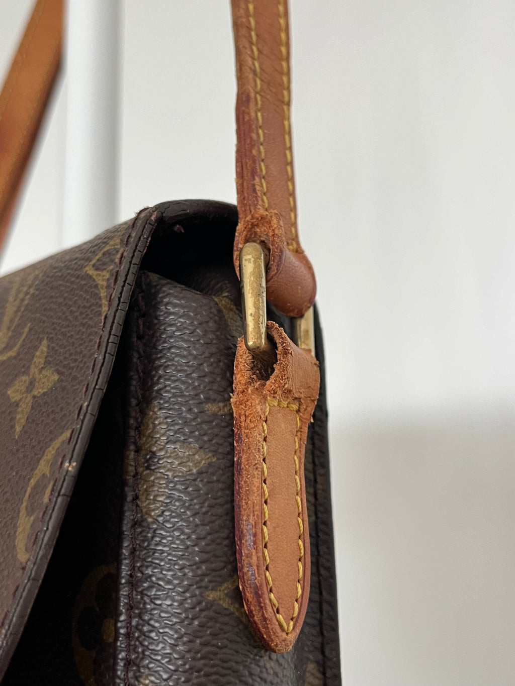 Louis Vuitton Saint Cloud Bag