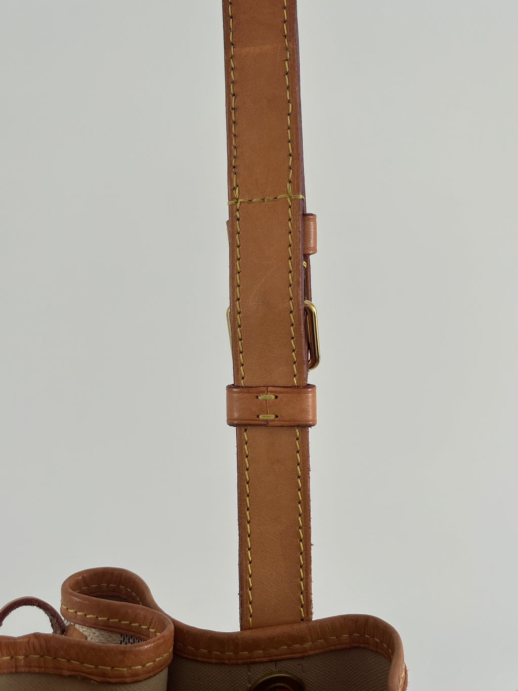 Louis Vuitton Noé Bucket Bag
