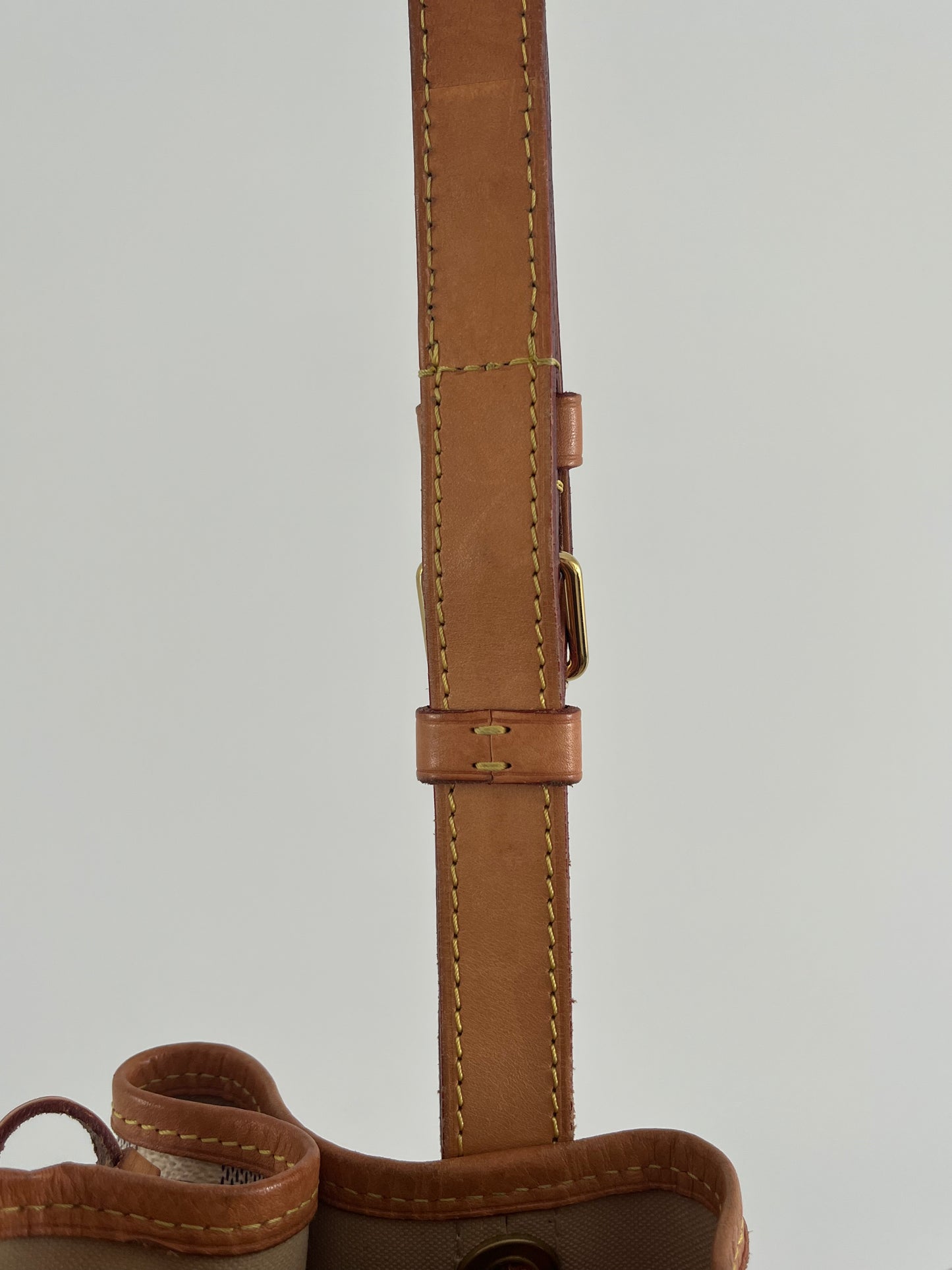 Louis Vuitton Noé Bucket Bag