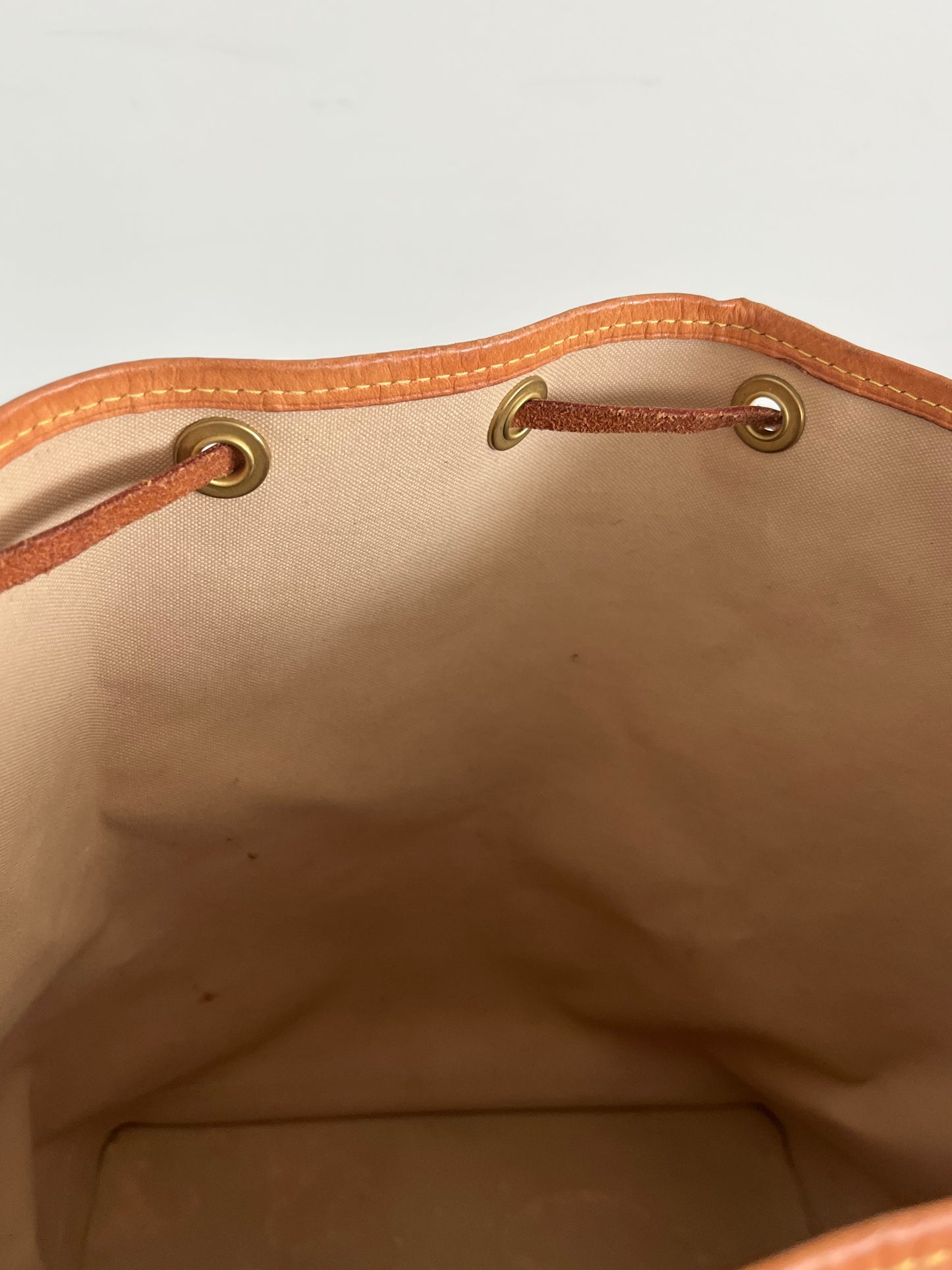 Louis Vuitton Noé Bucket Bag