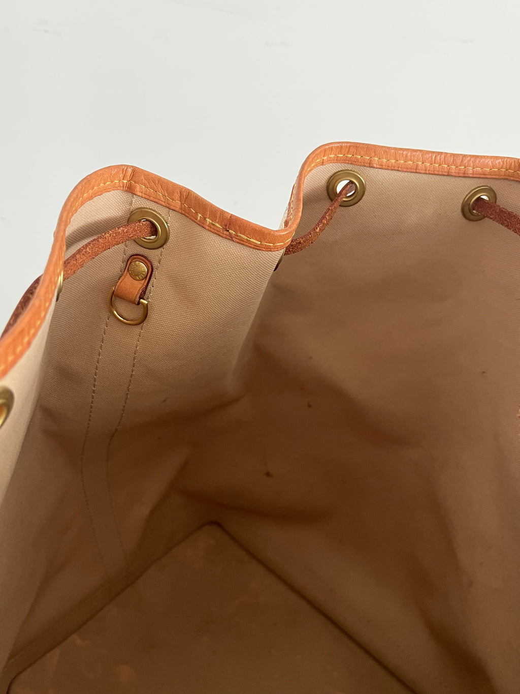 Louis Vuitton Noé Bucket Bag