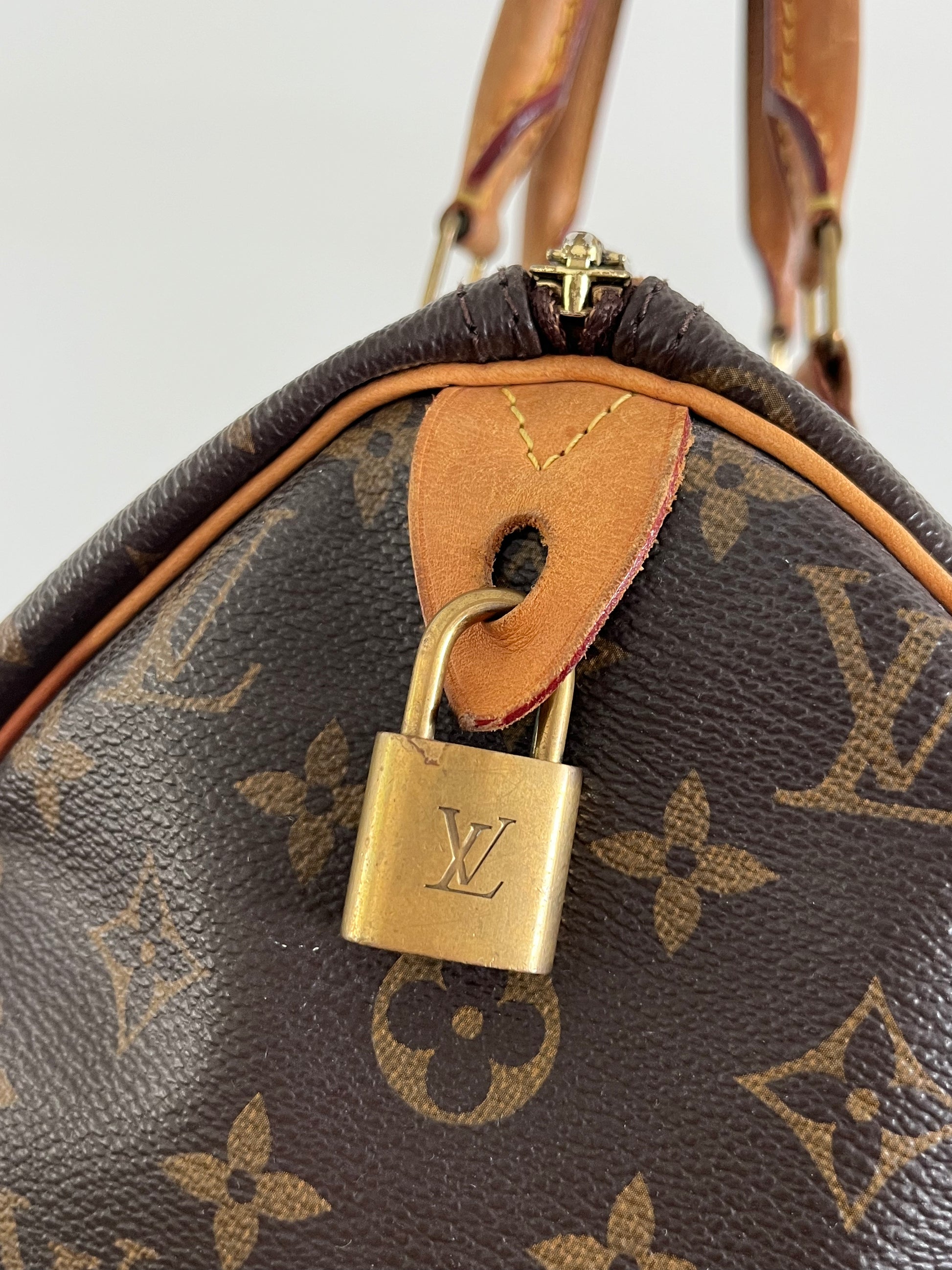 Louis Vuitton Speedy 30 Bag