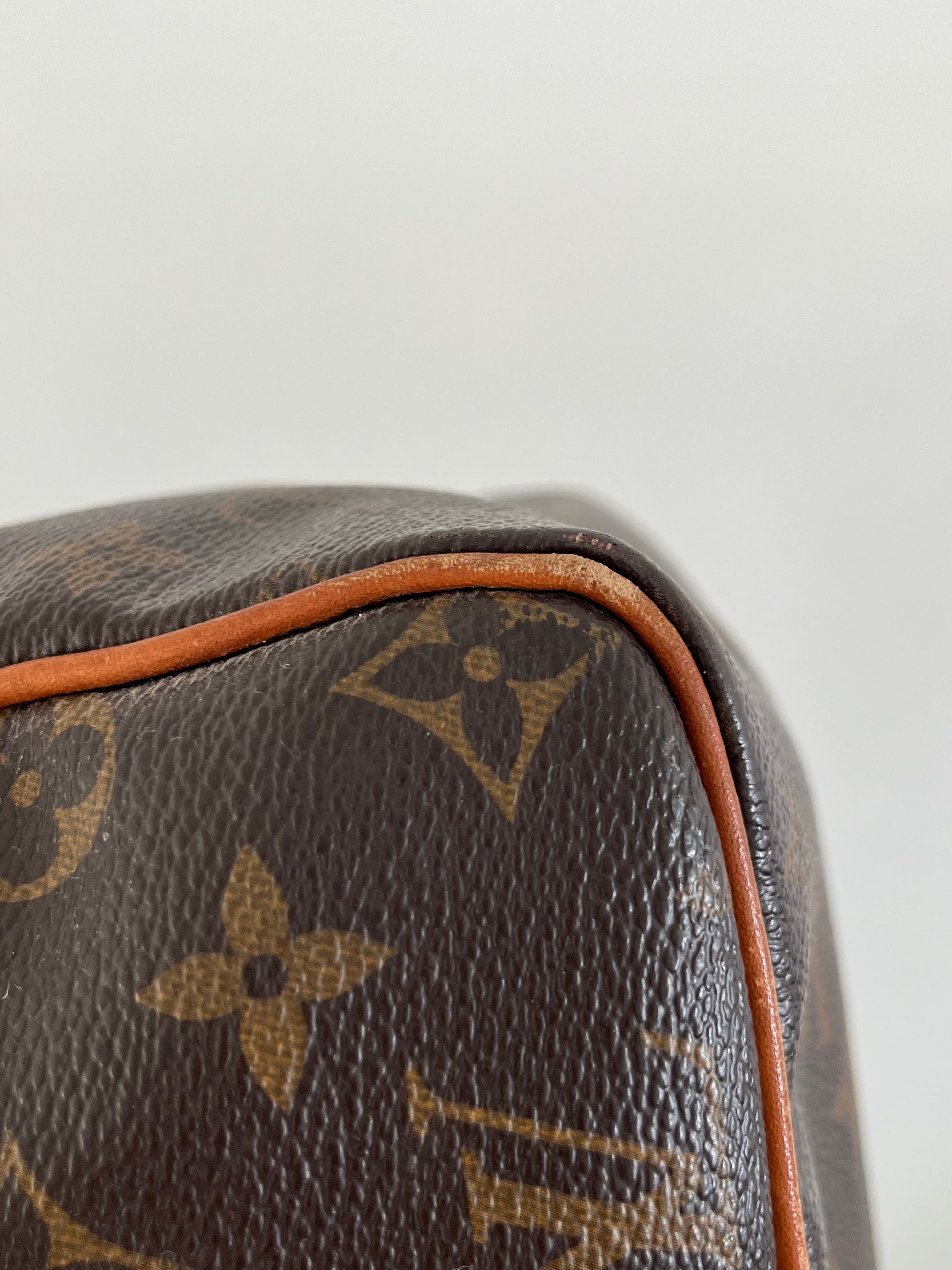 Louis Vuitton Speedy 30 Bag