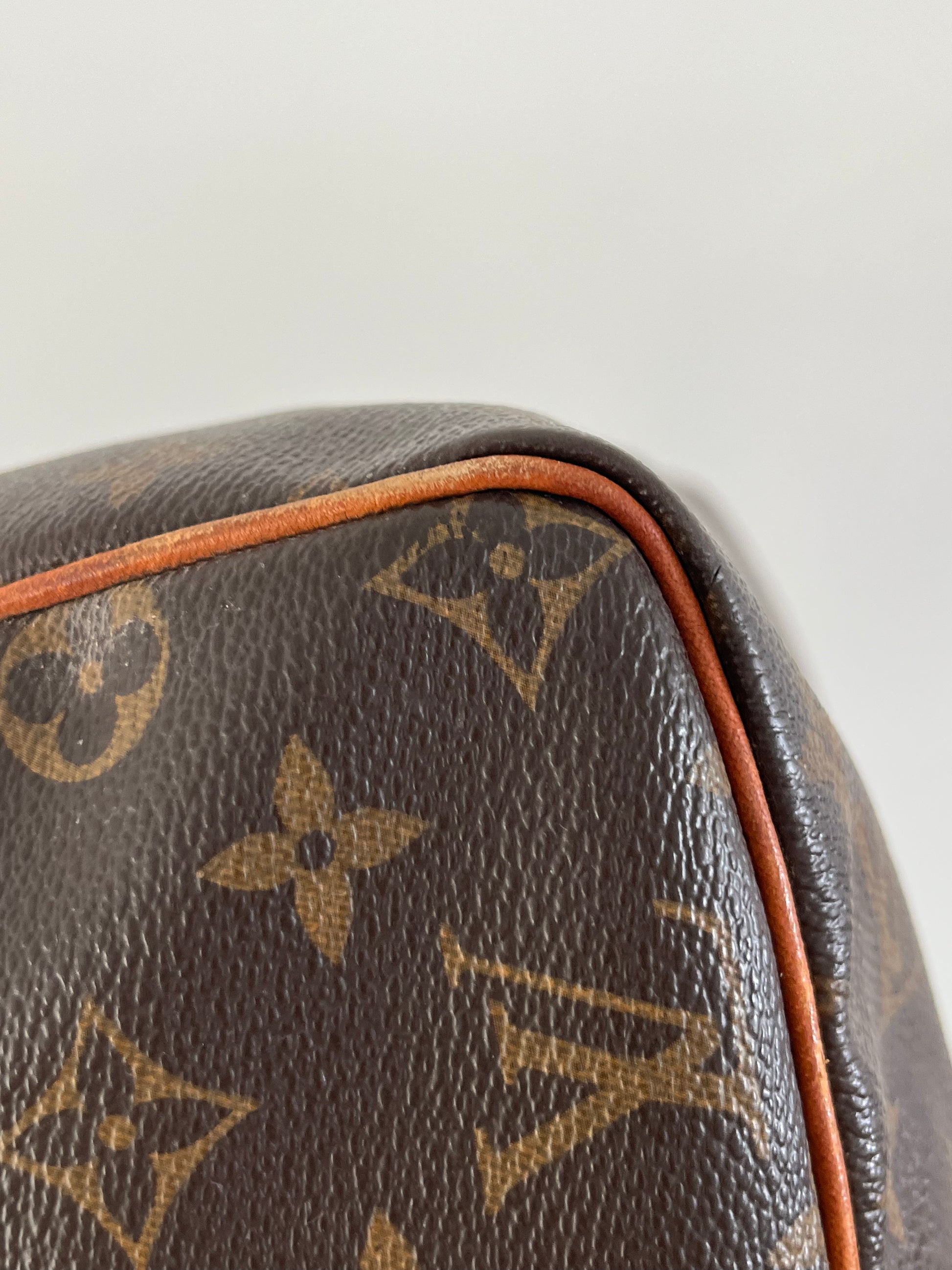 Louis Vuitton Speedy 30 Bag