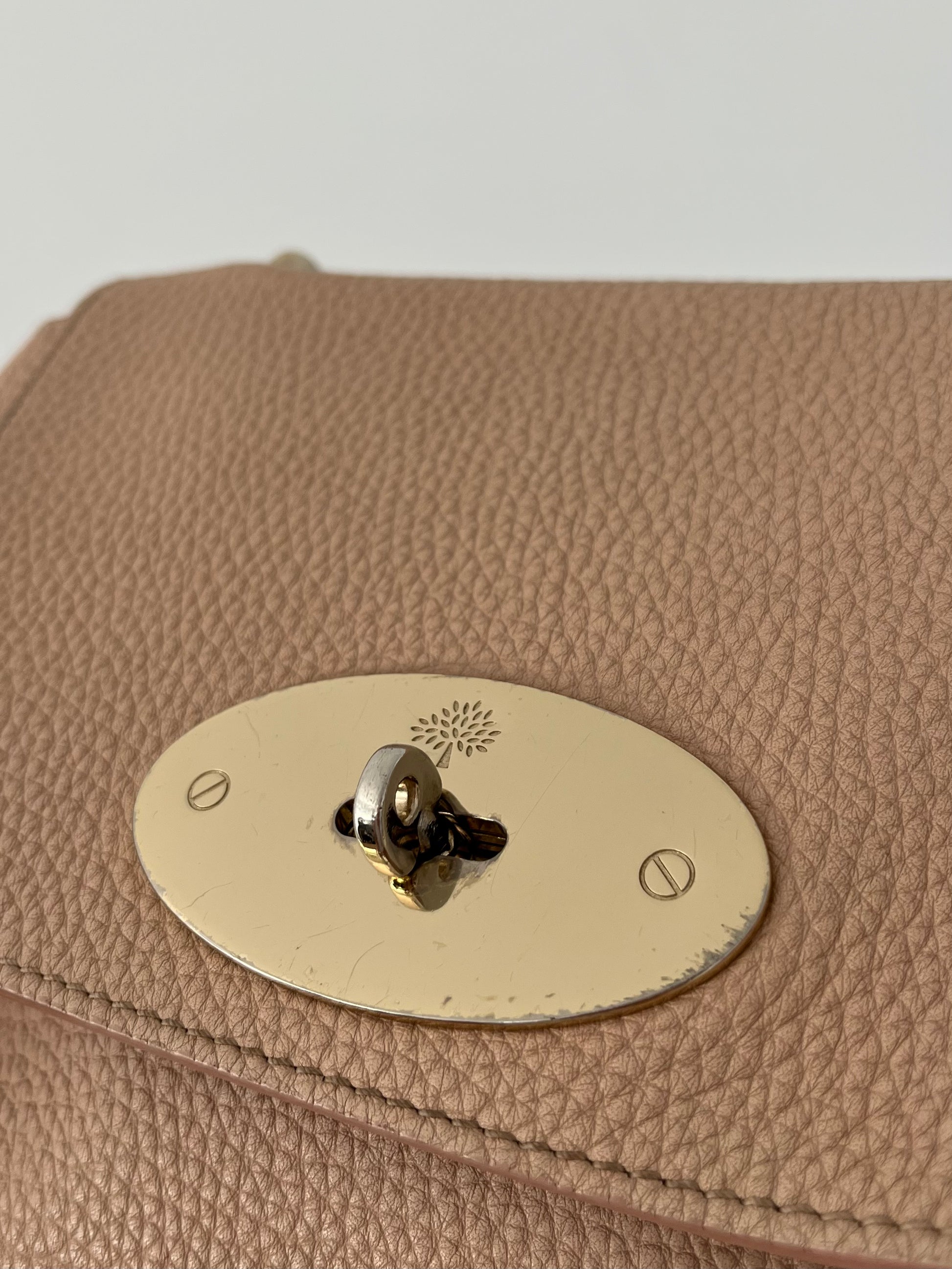 Mulberry Lily Small