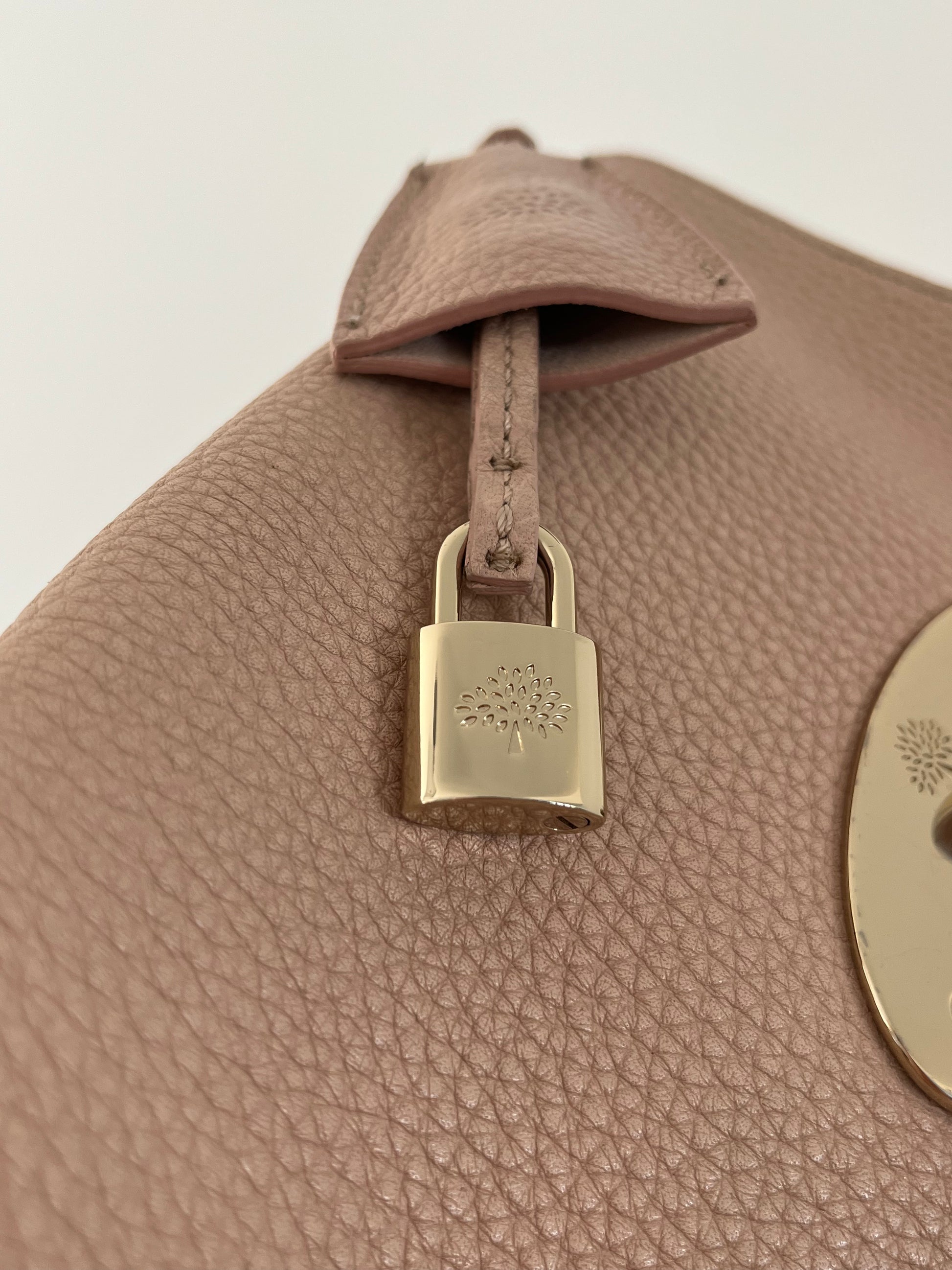 Mulberry Lily Small