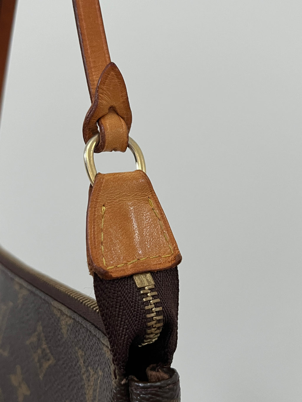 Louis Vuitton Pochette Bag