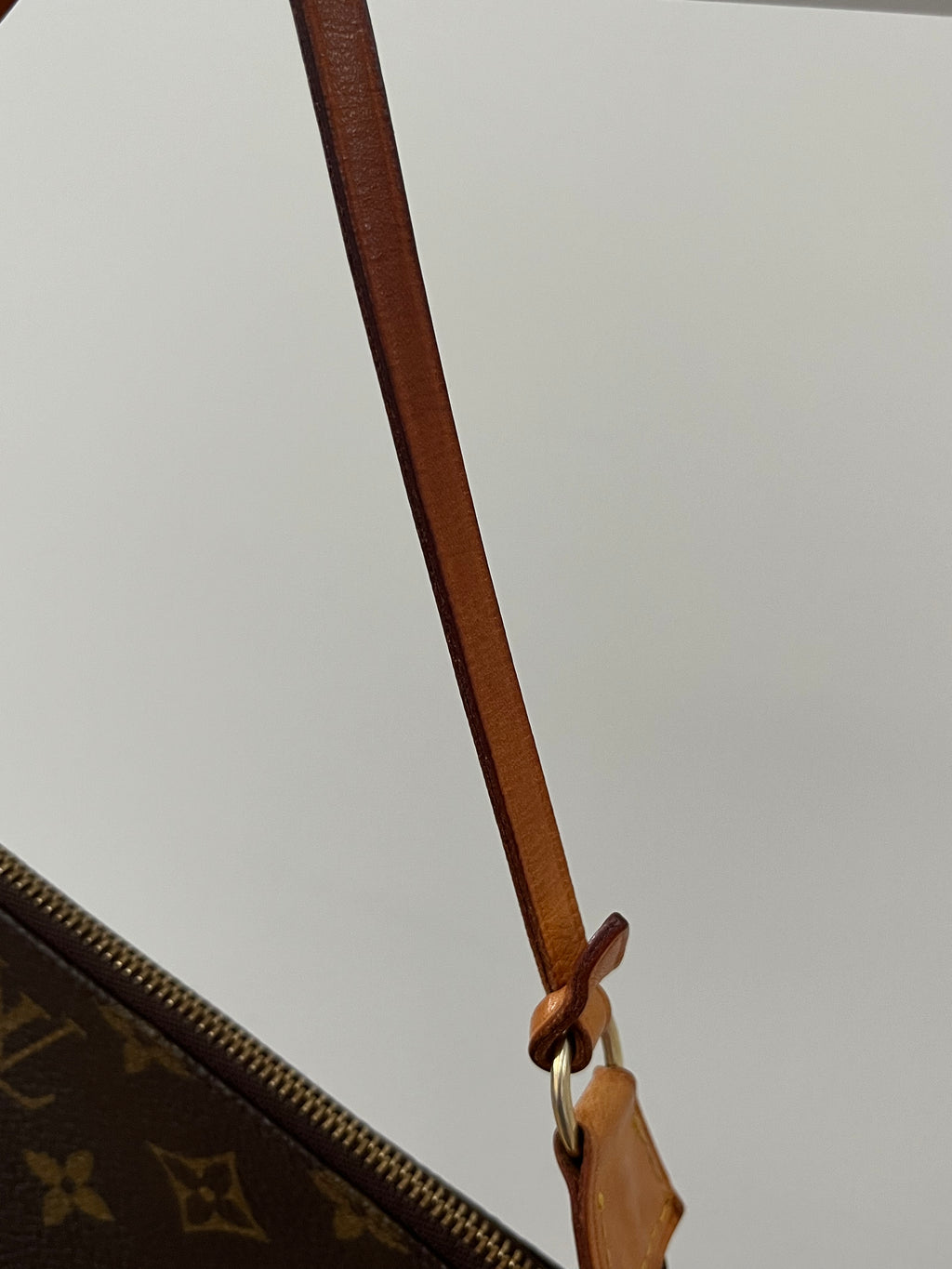Louis Vuitton Pochette Bag