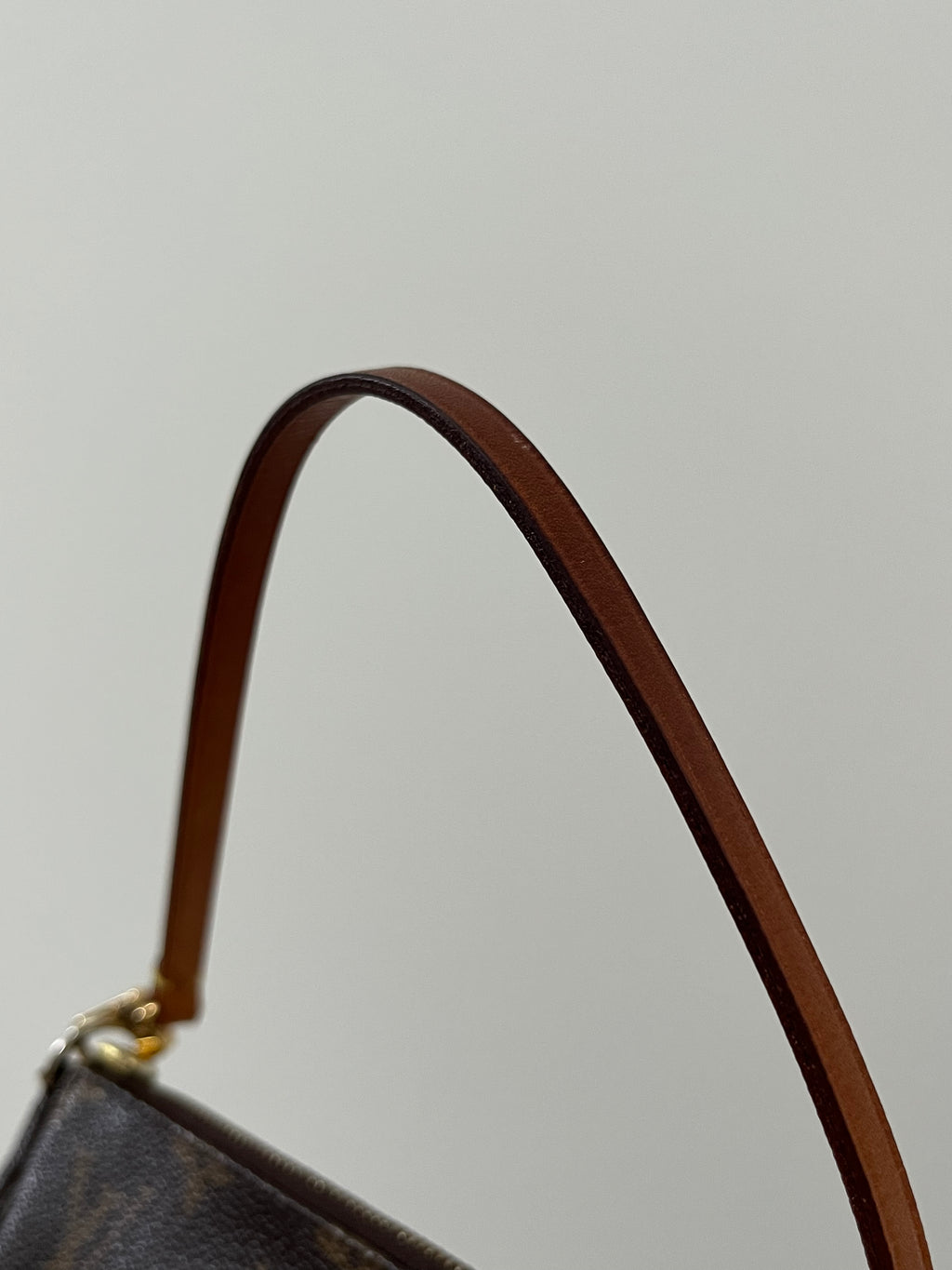 Louis Vuitton Pochette Bag