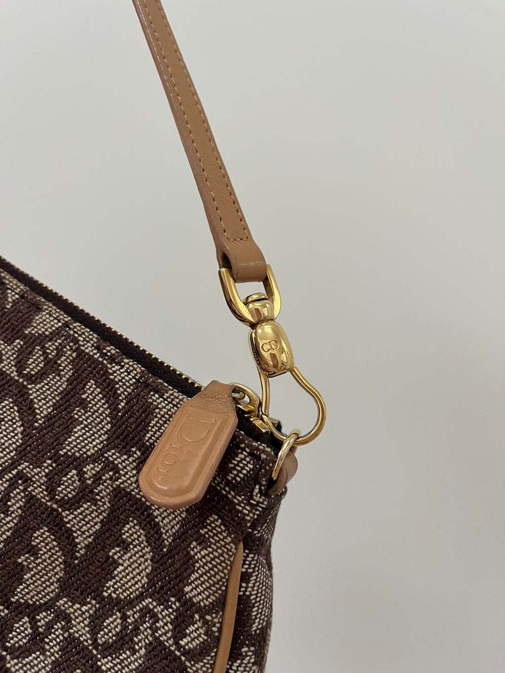 Dior Monogram Saddle Bag