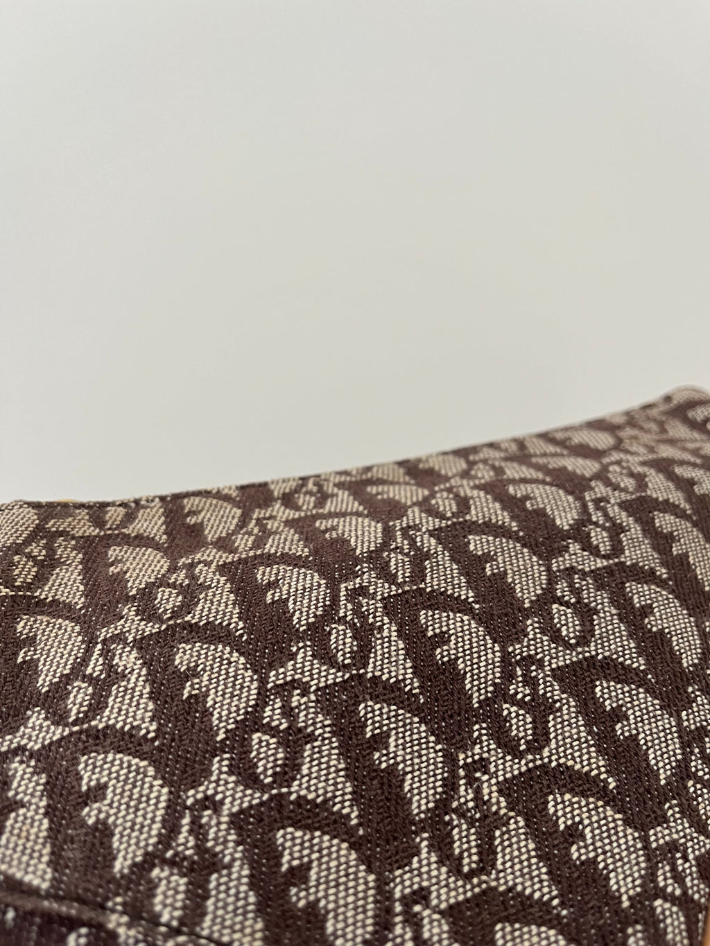 Dior Monogram Saddle Bag