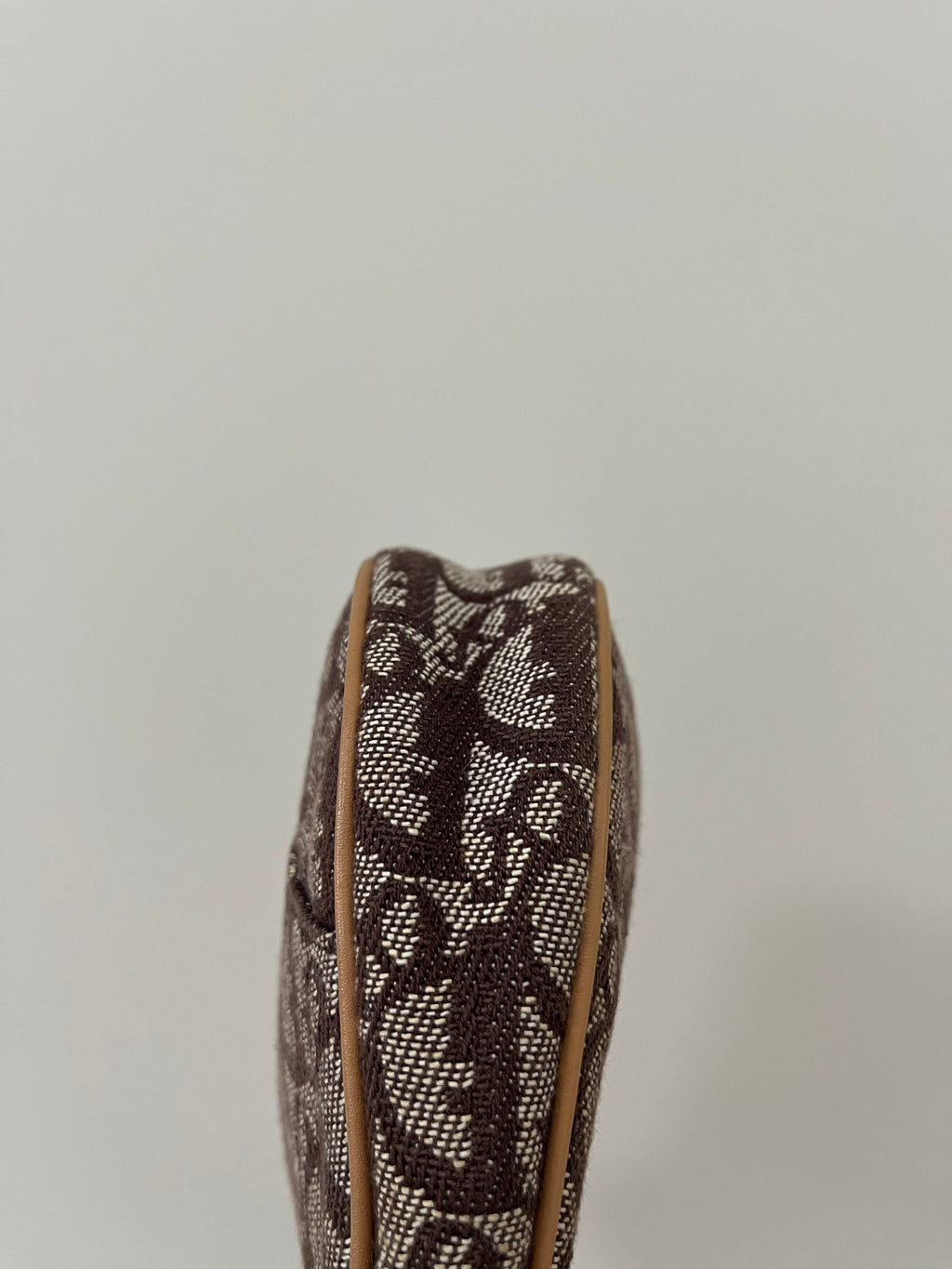 Dior Monogram Saddle Bag