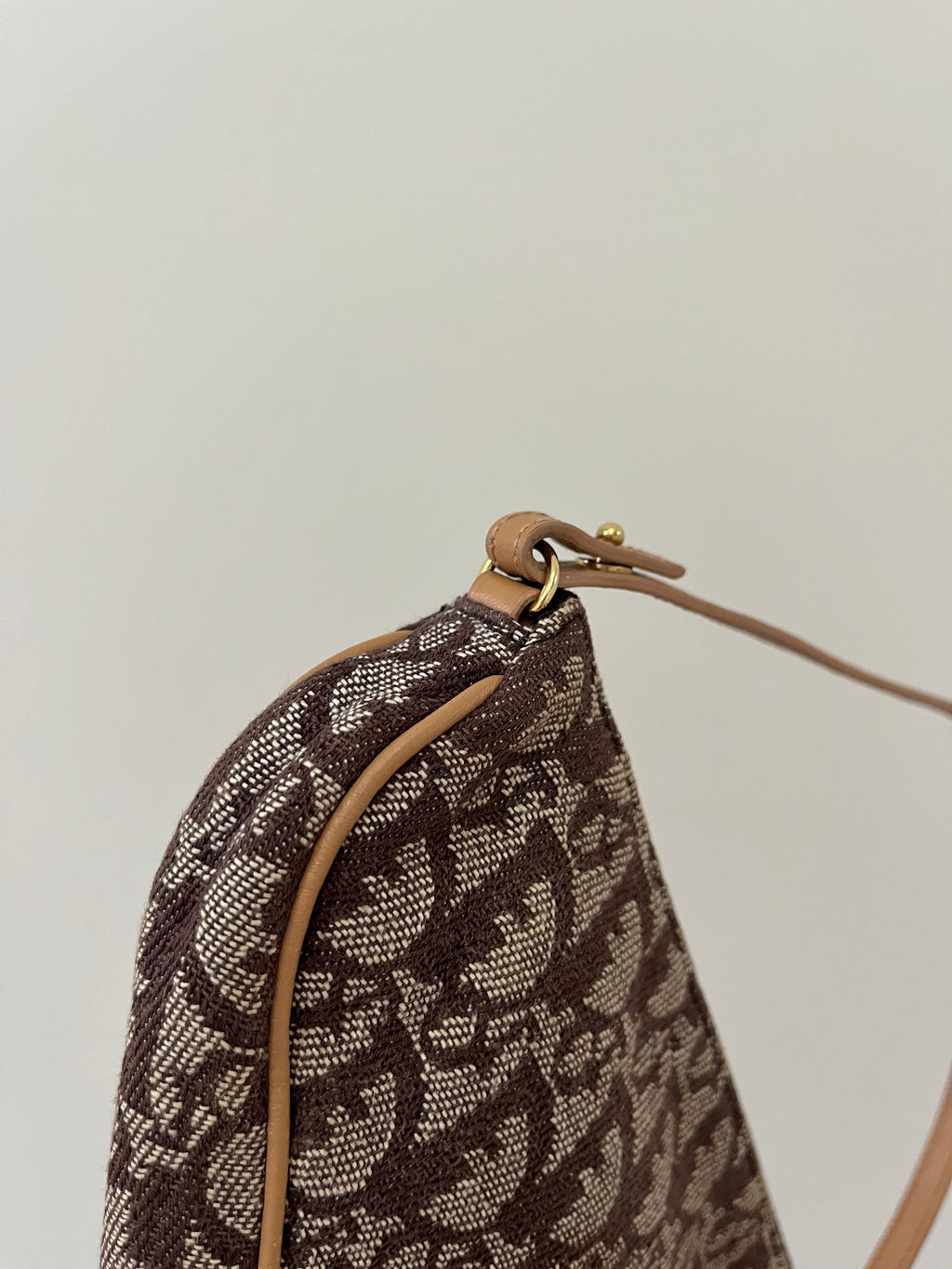 Dior Monogram Saddle Bag