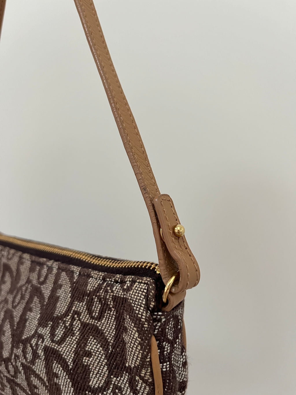 Dior Monogram Saddle Bag
