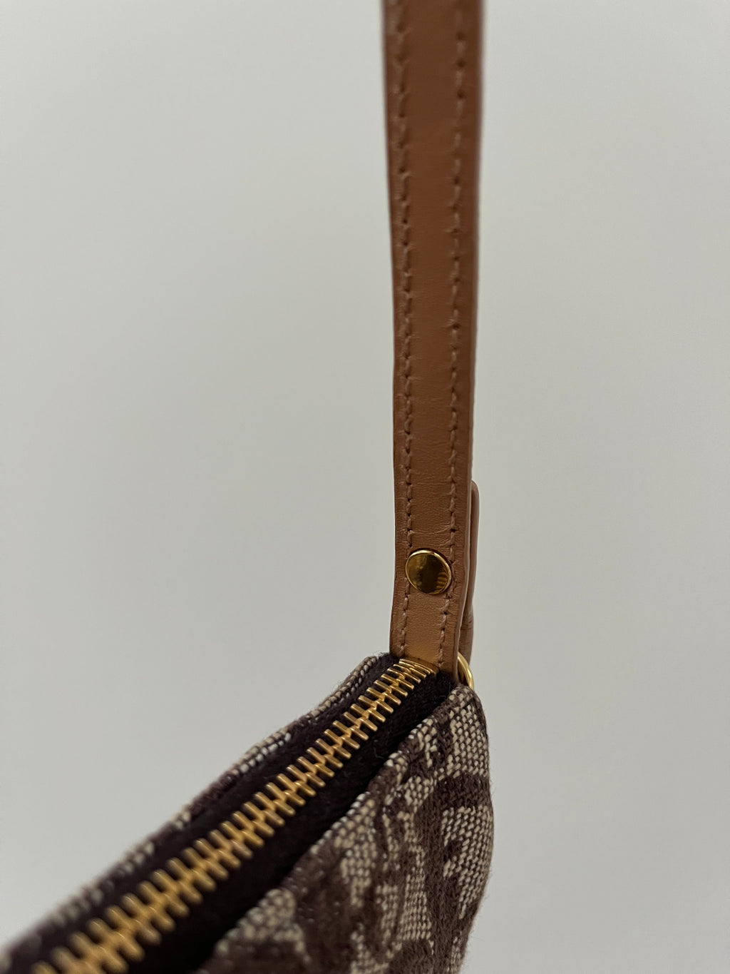 Dior Monogram Saddle Bag