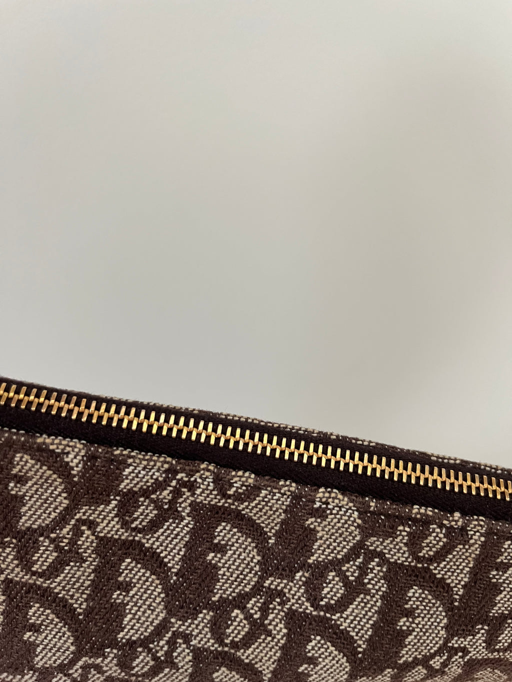 Dior Monogram Saddle Bag