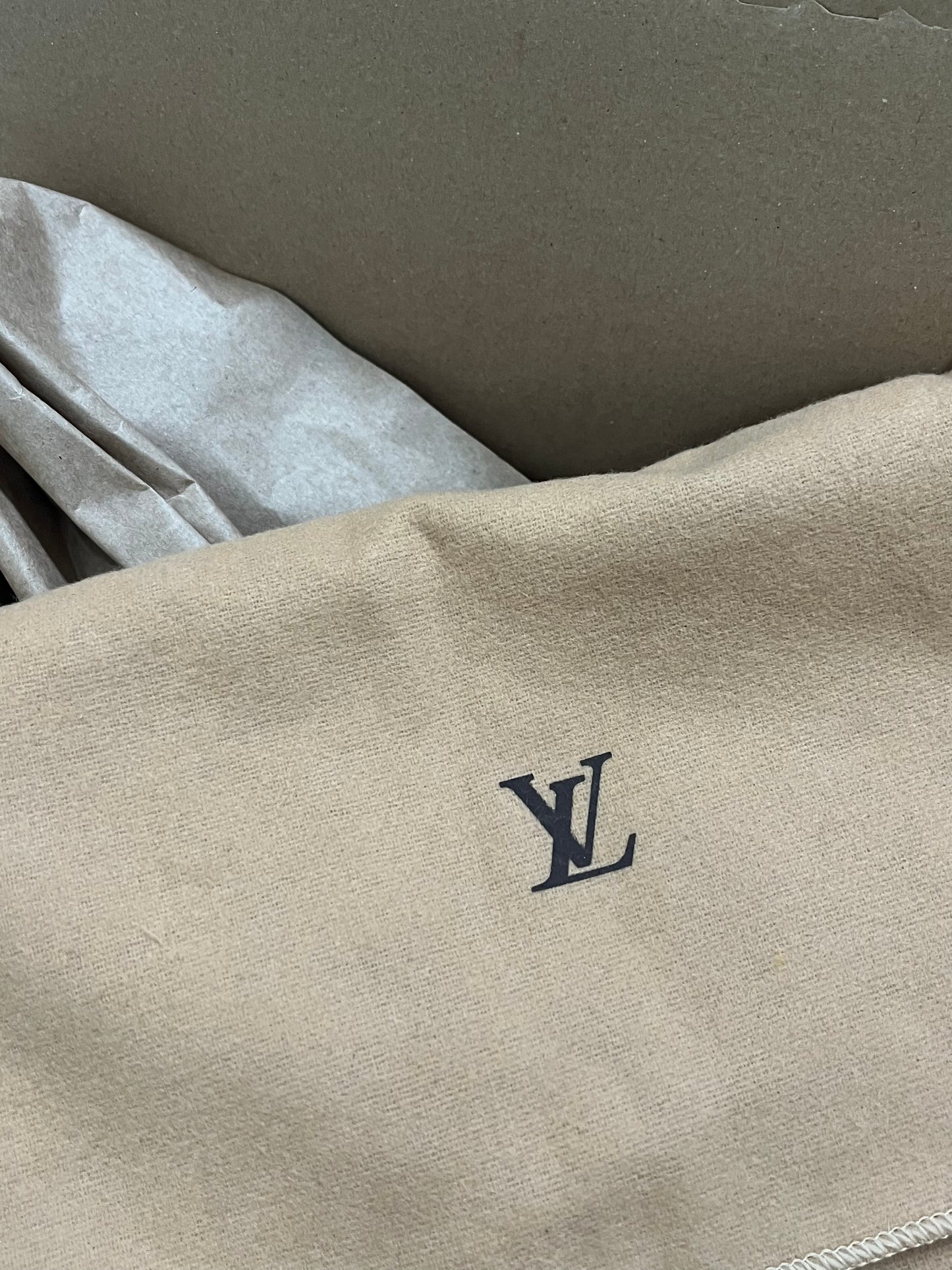 Louis Vuitton Pochette Bag