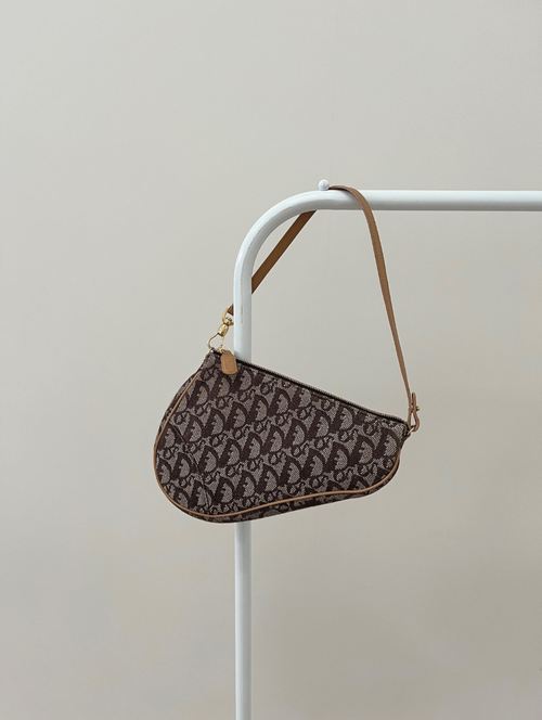 Dior Monogram Saddle Bag